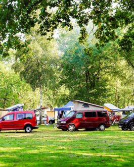 Barracuda Beach Camping am See - Duitsland