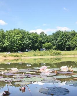 Camping Creuse Nature Naturiste - Frankrijk