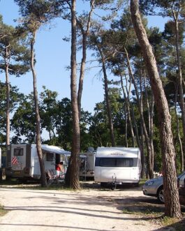 Camping Bosco Selva - Italië