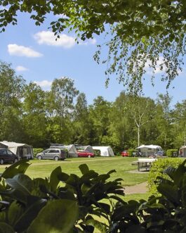 Camping de Vechtvallei - Nederland