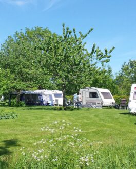 Camping Lentemaheerd - Nederland