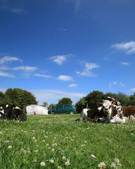 Camping De la Ferme de Croas-Men - Frankrijk