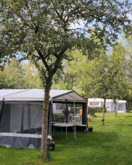 Camping De Zwammenberg - Nederland