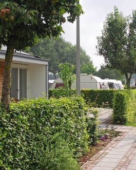 Camping Aldörrum - Nederland