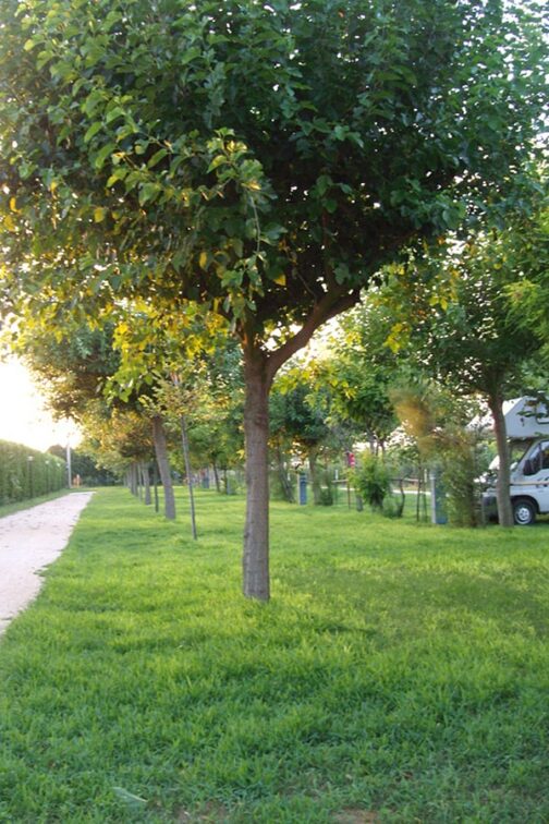 Agricampeggio Da Scarpa - Italië