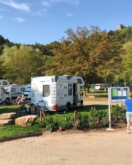 Moselcampingplatz Alf - Duitsland