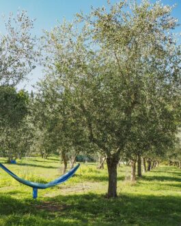 Agricamping L'Apicorno - Italië