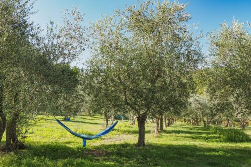 Agricamping L'Apicorno - Italië