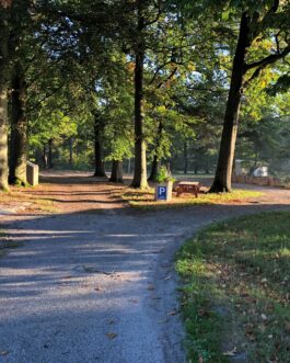 Camping Schouteveld - Nederland