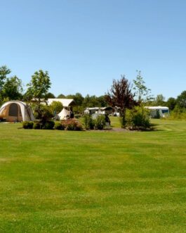 Camping De Wedze - Nederland