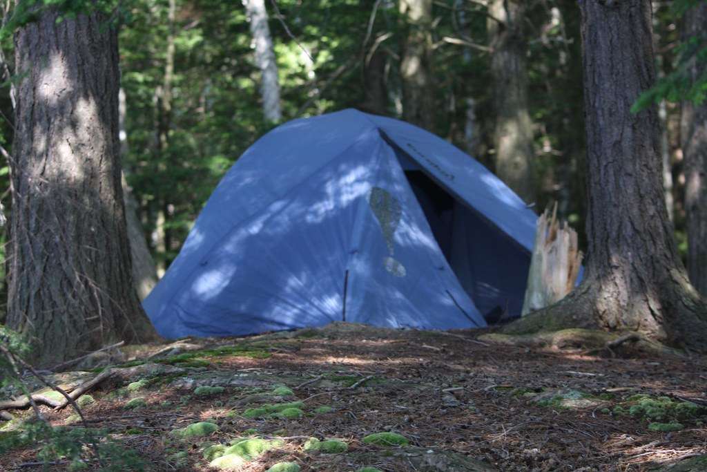 Sucker Lake Camping