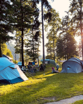 Forest Camping Mozirje - Slovenië
