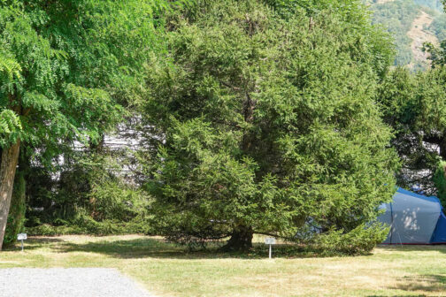 Camping Pradelongue - Frankrijk