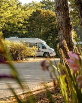 Camping des Gayeulles - Frankrijk