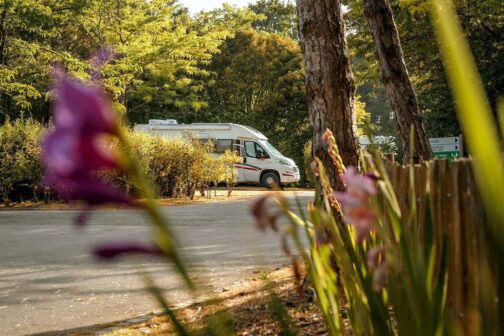 Camping des Gayeulles - Frankrijk
