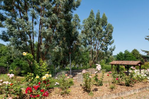 Camping de la Serre - Frankrijk
