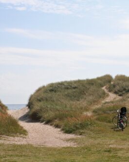 Skagen Sydstrand Camping-Bunken - Denemarken