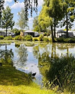 Camping Papillon Kinrooi - België