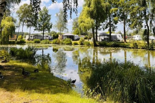 Camping Papillon Kinrooi - België