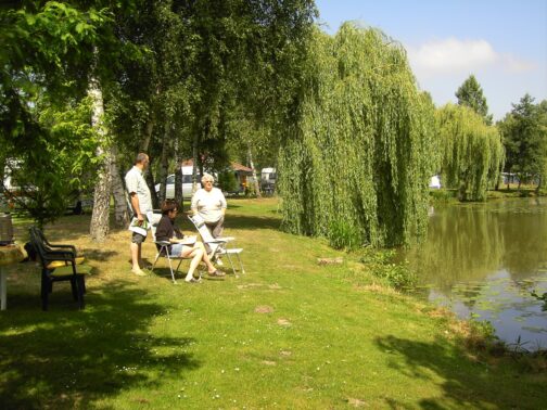 Camping Papillon Kinrooi - België