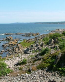 Sandkaas Familiecamping - Denemarken