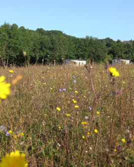 Camping Le Valenty - Frankrijk