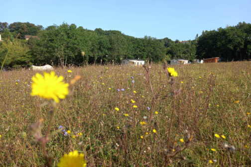 Camping Le Valenty - Frankrijk