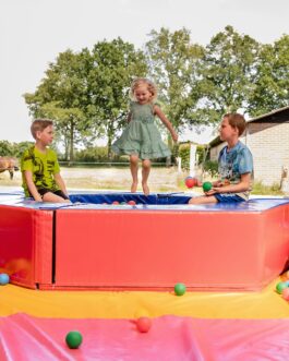 Charmecamping & Appartementen De Regge-Vallei - Nederland