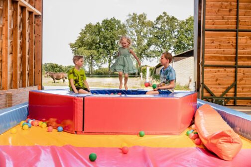 Charmecamping & Appartementen De Regge-Vallei - Nederland