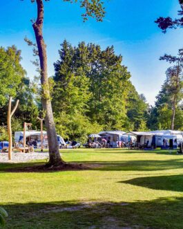 Recreatiepark De Paalberg - Nederland