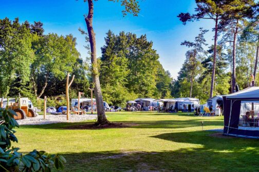 Recreatiepark De Paalberg - Nederland