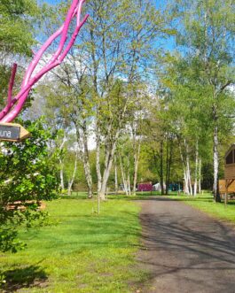 Camping de L'Eau Mère - Frankrijk