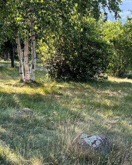Camping de la Lyre - Frankrijk