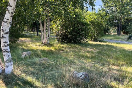 Camping de la Lyre - Frankrijk
