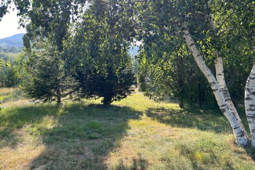 Camping de la Lyre - Frankrijk