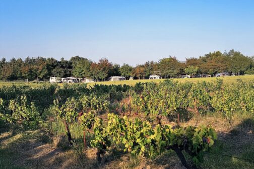 Camping Le Pastory - Frankrijk