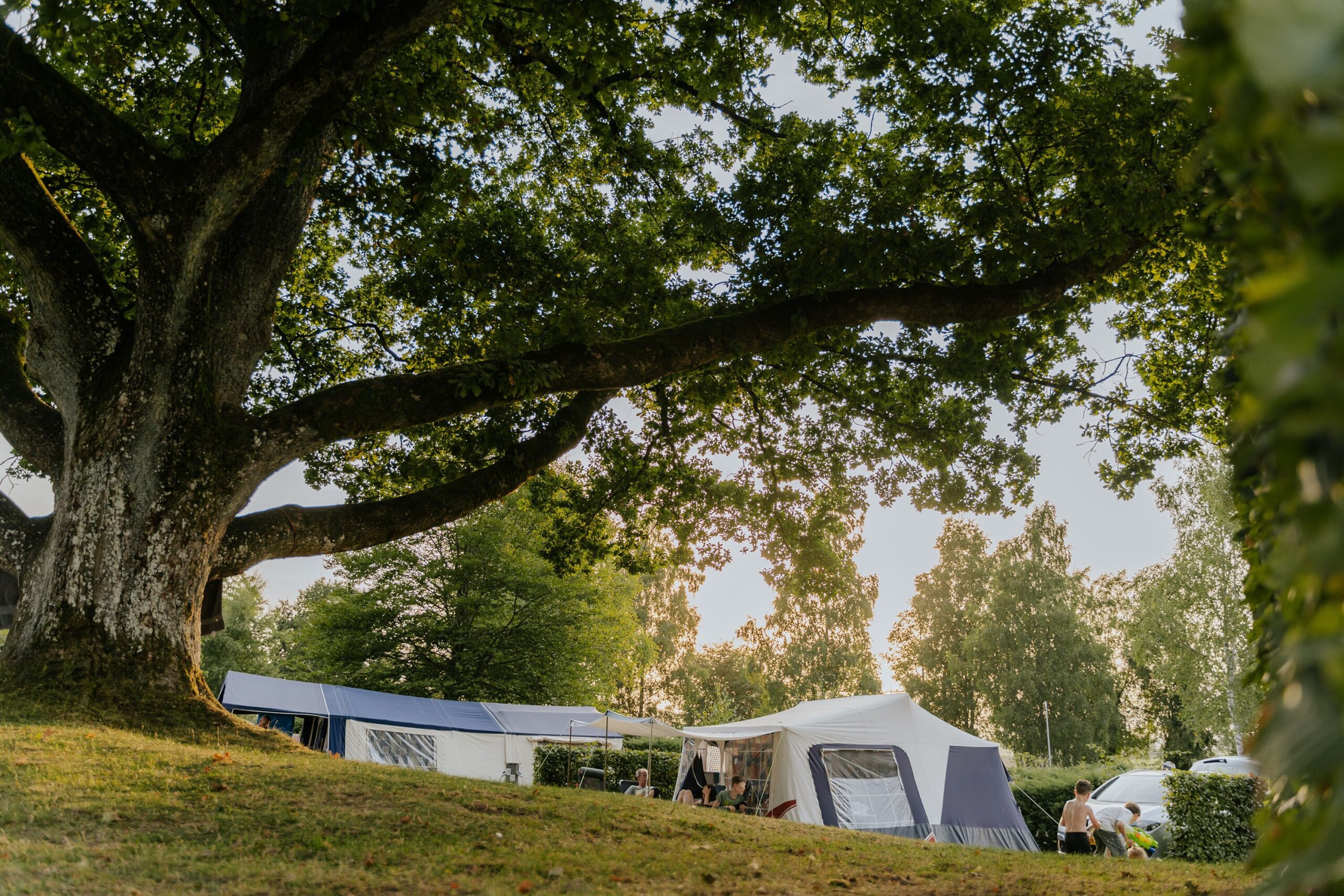 Camping Hohenbusch - België